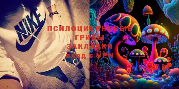 прущие крисы Арсеньев
