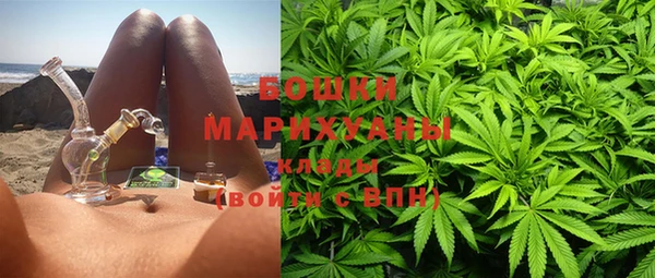 прущие крисы Арсеньев