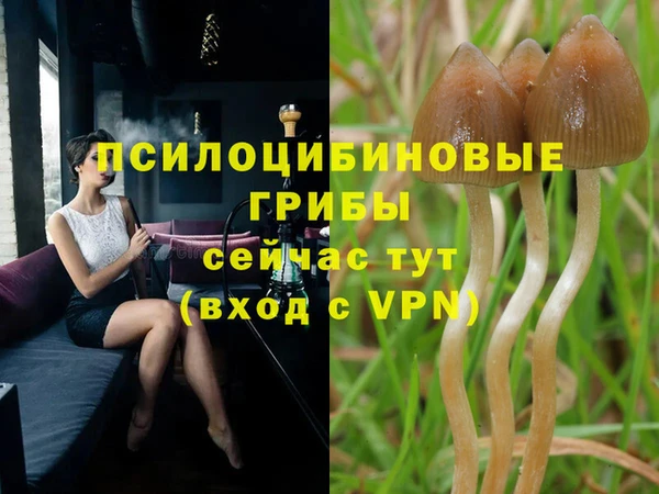 марки lsd Аркадак