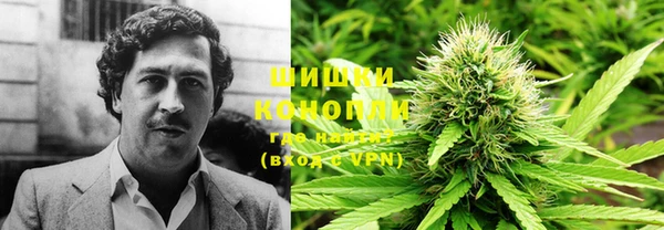 прущие крисы Арсеньев