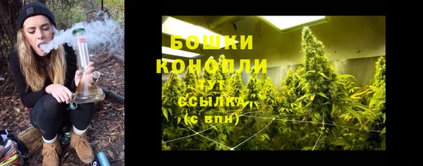 прущие крисы Арсеньев