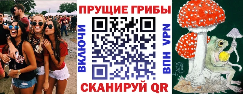 Галлюциногенные грибы MAGIC MUSHROOMS  Опочка 